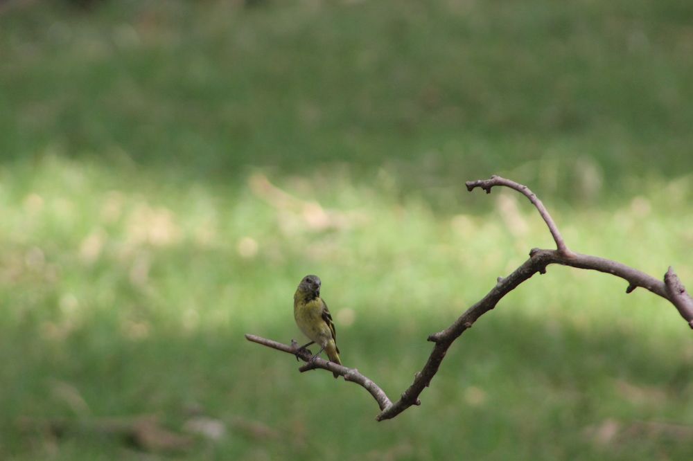 Photograph by Graciela Saglio