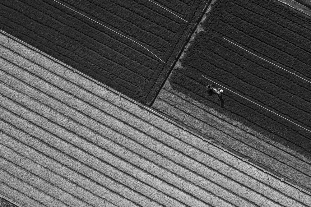 Photograph by nguyen phuc doan