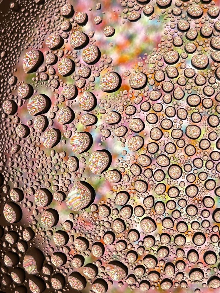 Photograph by Evgenia