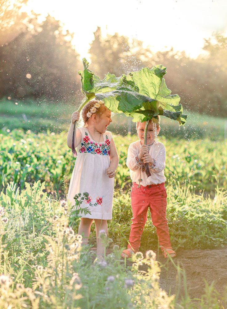 Photograph by Мариша Дядюк