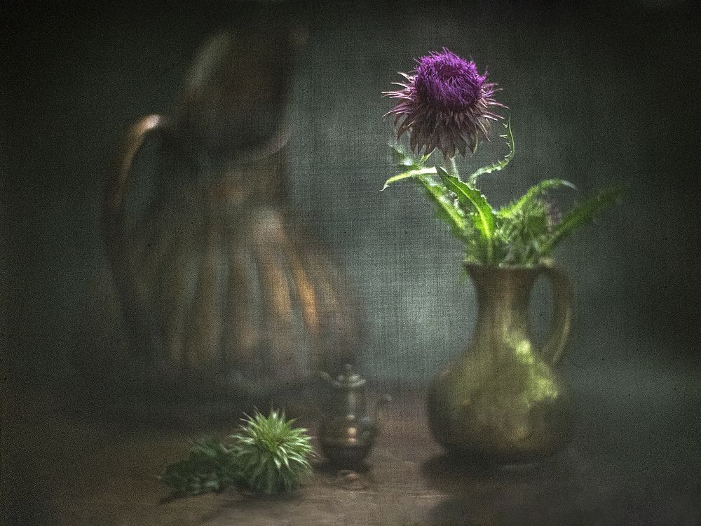 Photograph by Татьяна Аверина