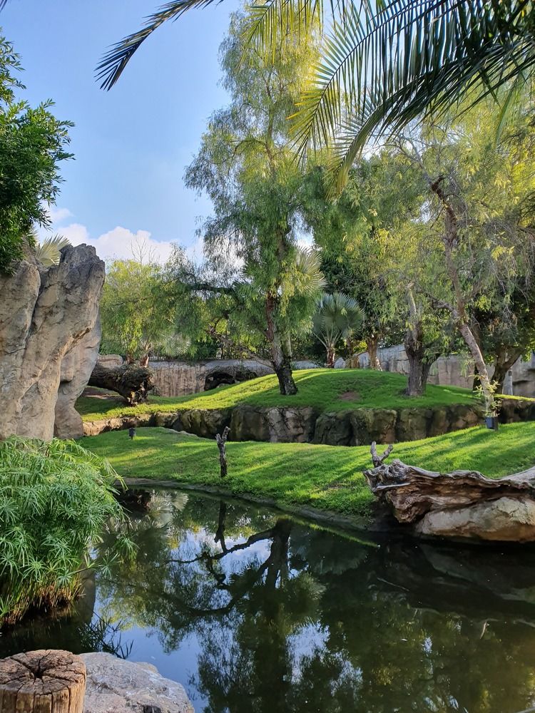 Фотография автора Ольга Катаргина