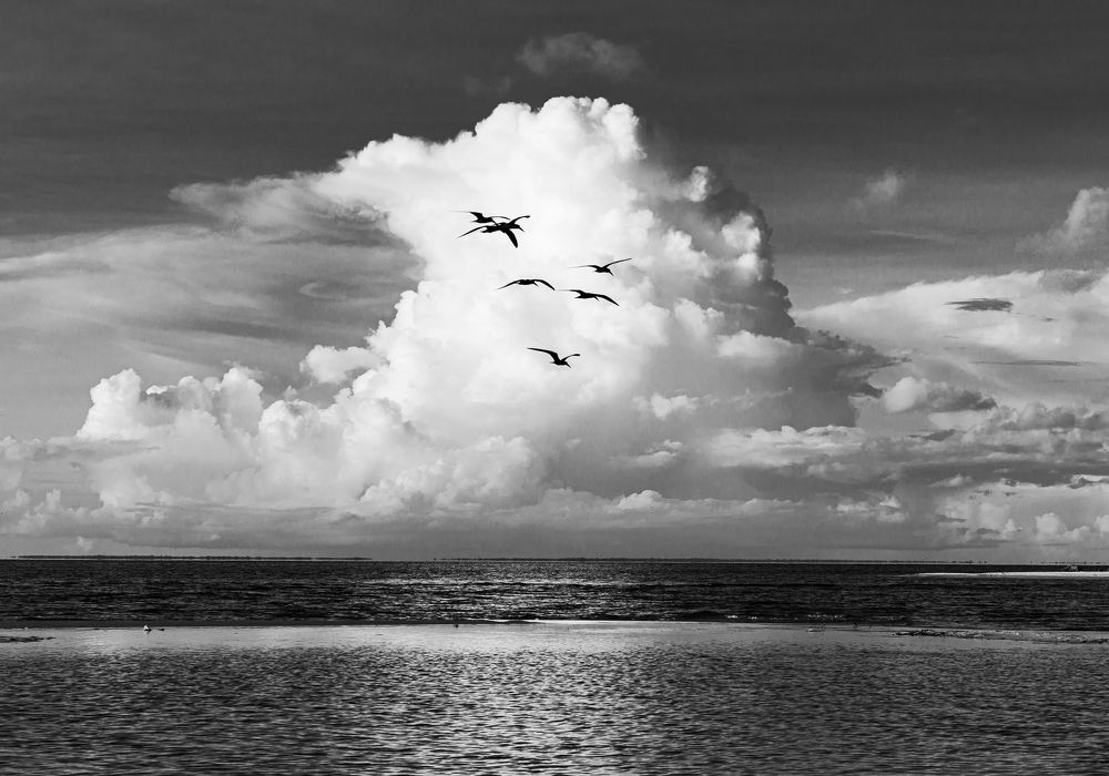 Photograph by Laura Lucio