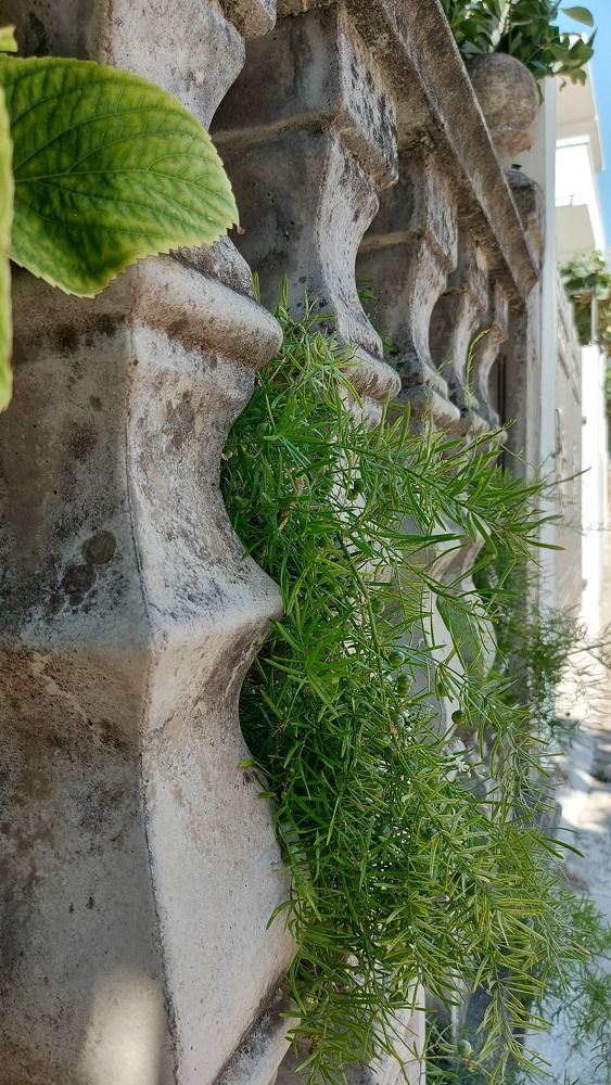 Photograph by Olha Teraz