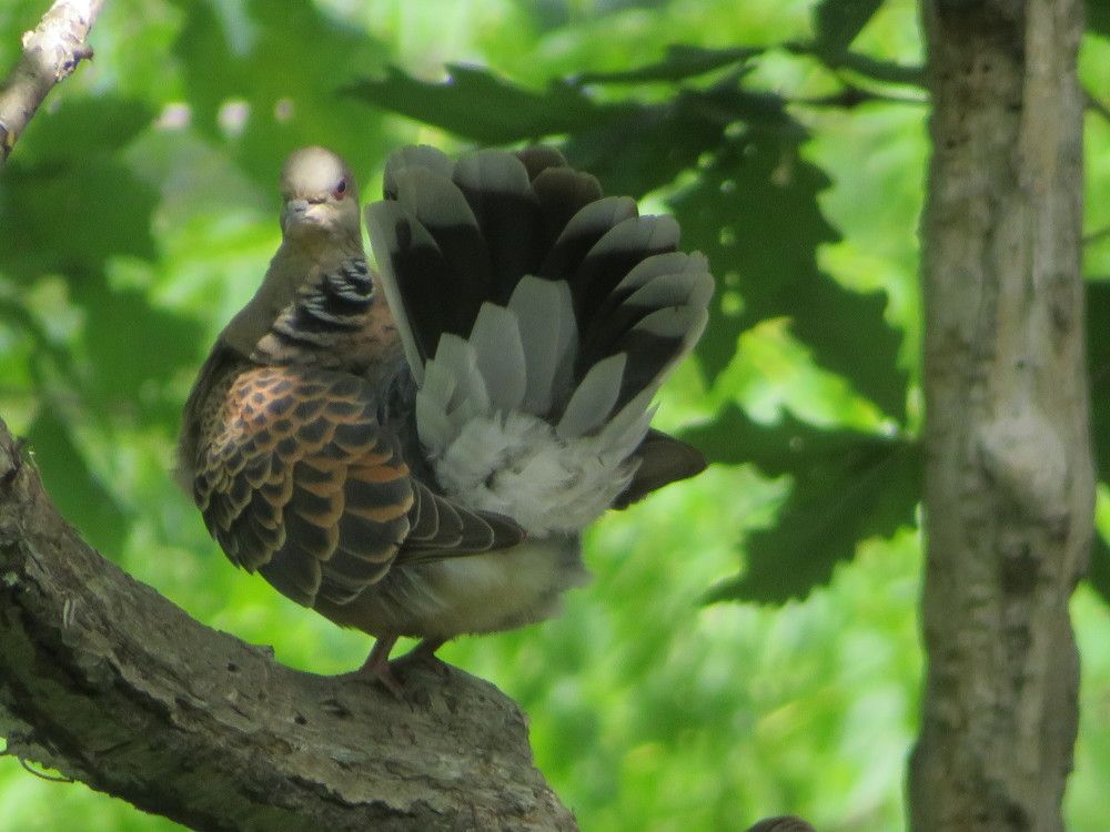 Photograph by Ольга Панкова