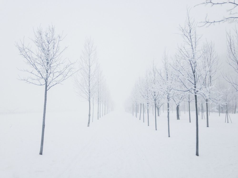 Photograph by Andrew Abrosimov