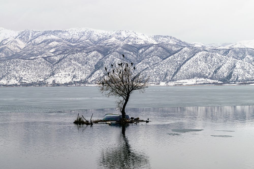 Photograph by MohammadHasan Raadi
