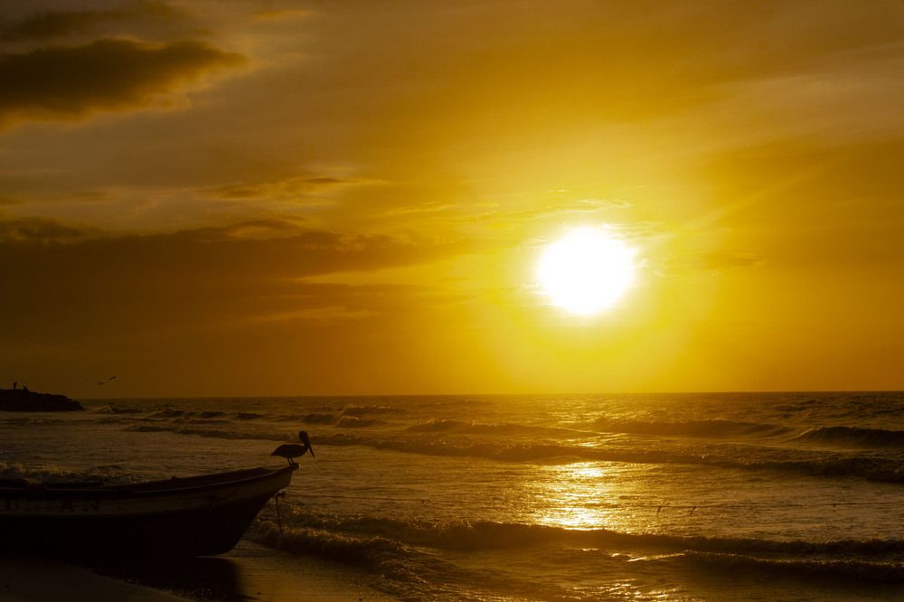 Фотография автора Yako Laverde