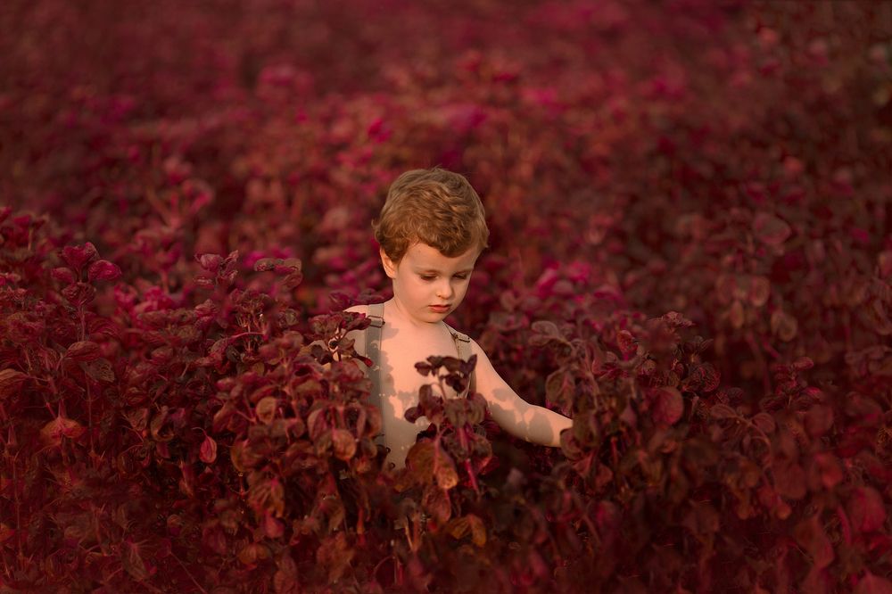 Photograph by Denise Santos