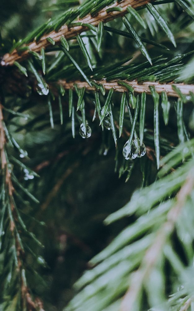 Photograph by Гульнара Айнетдинова