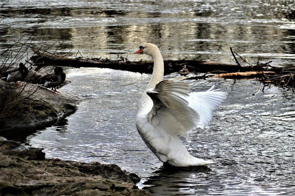 Photograph by Zdeňka Hudcová