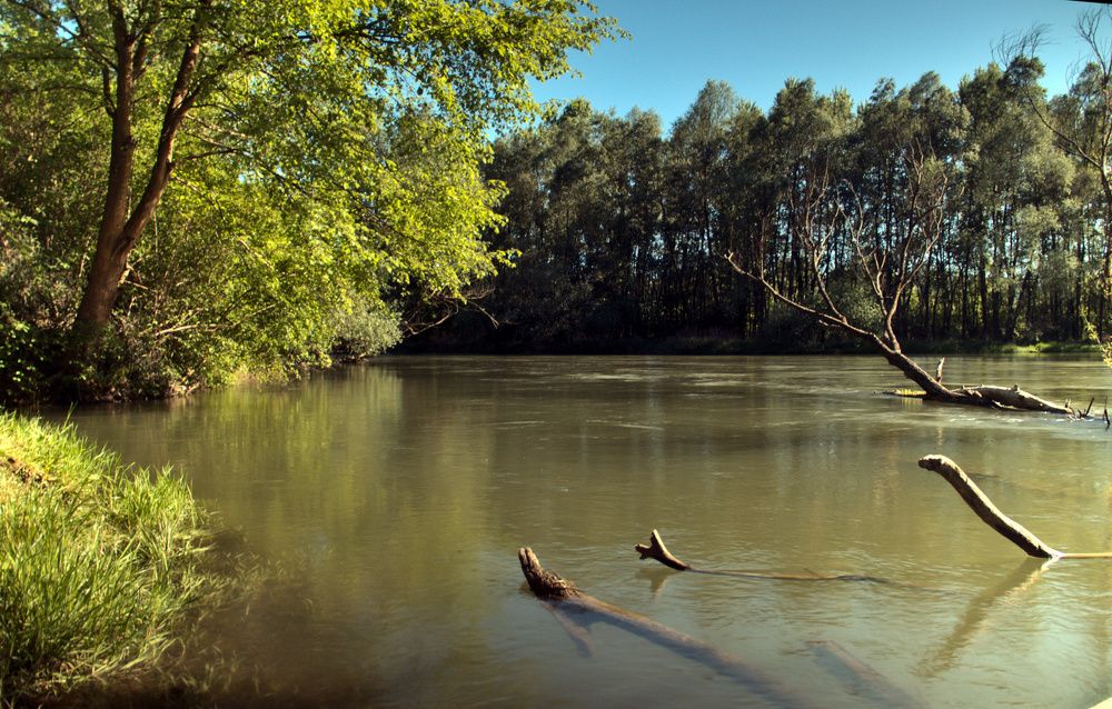 Kígyók a folyóban.