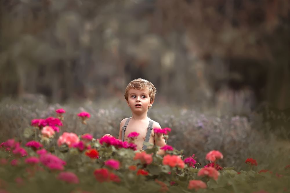 Photograph by Denise Santos