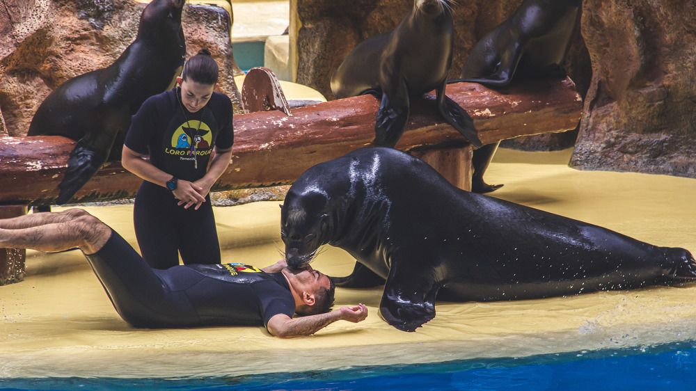 Photograph by Andrew Abrosimov