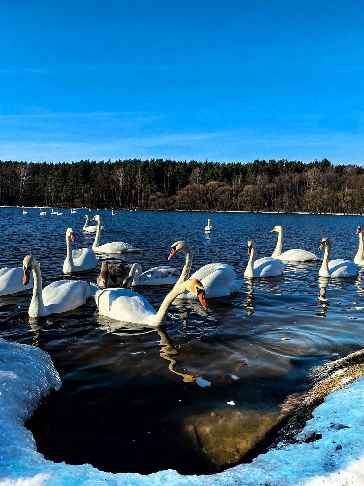 Photograph by Ольга Уласик