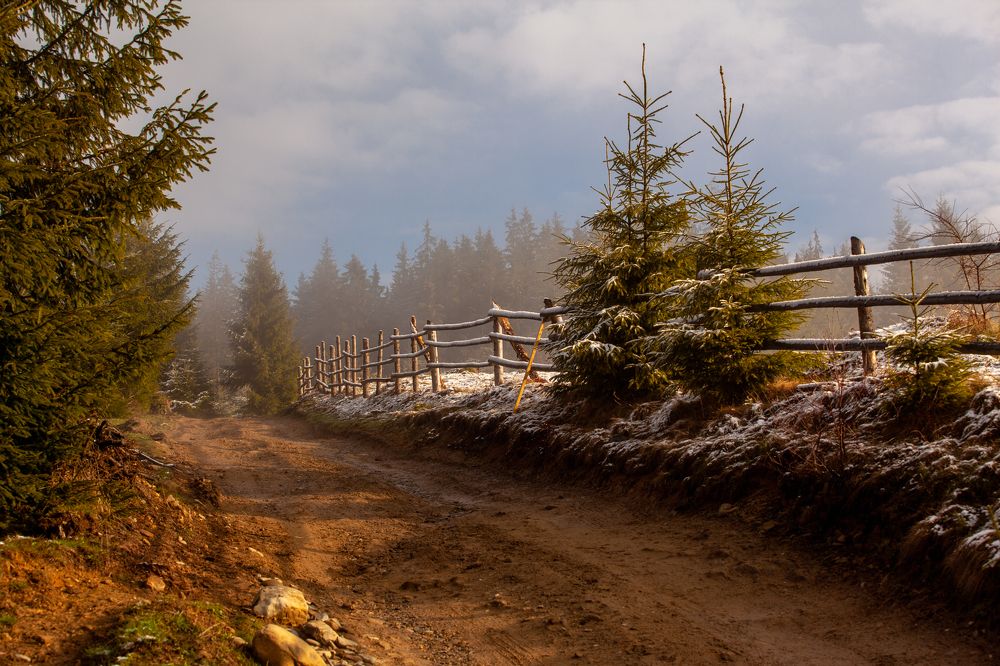 Photograph by Serhii Moiseiev