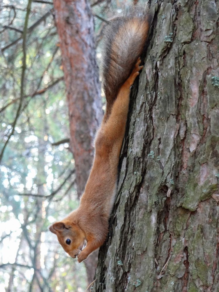 Photograph by Александра Петряева