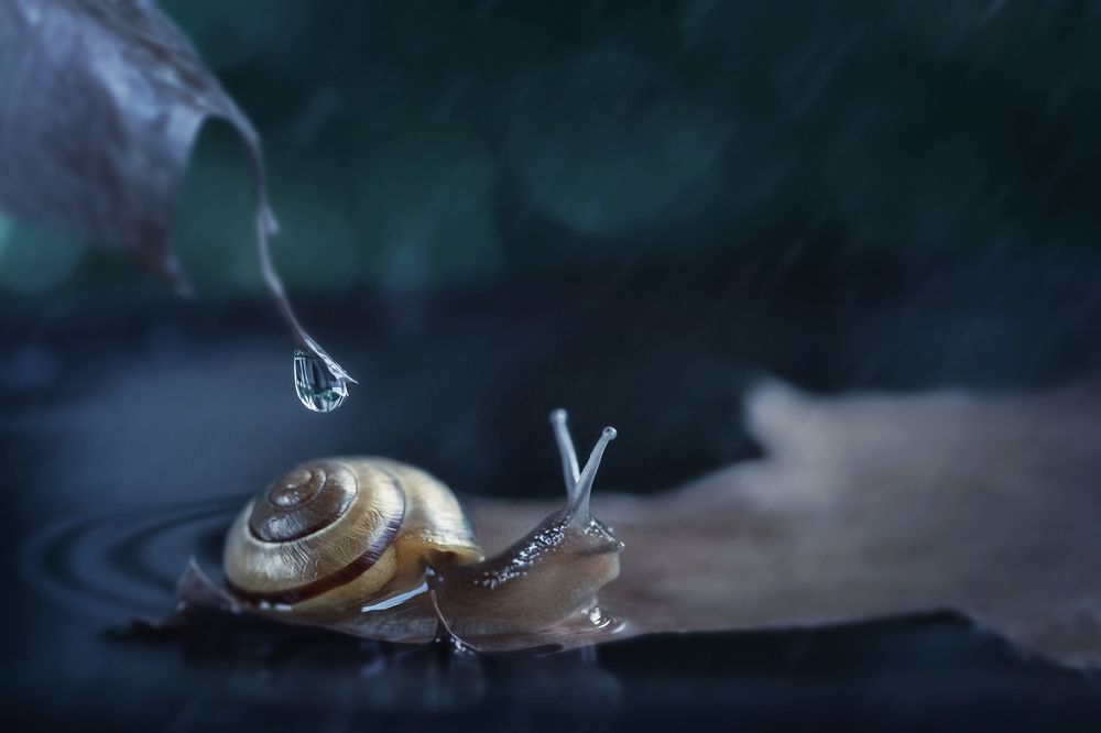 Photograph by Марина Хилько