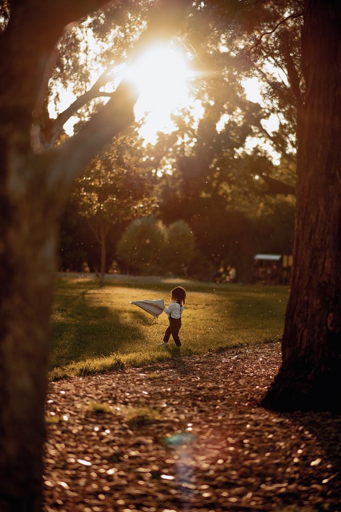 Magic moment in golden hour