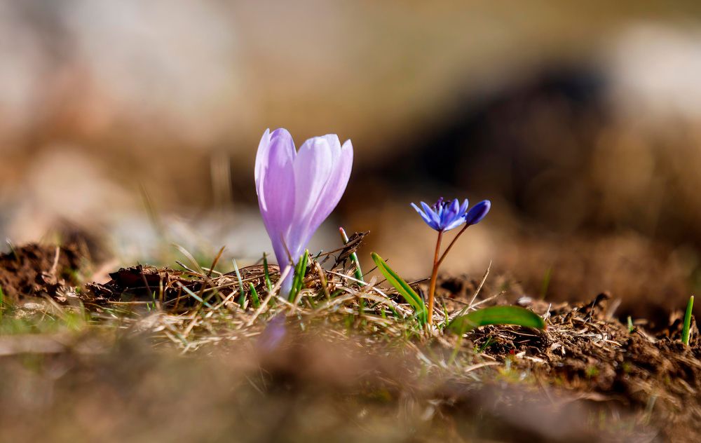 Photograph by Dejan Sajkovski