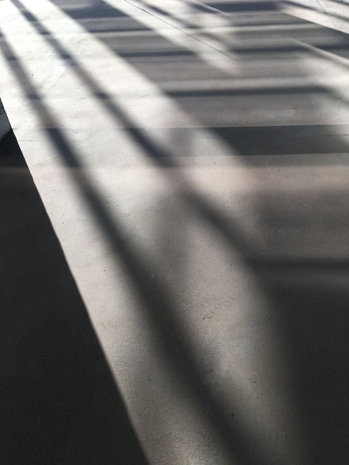 Photo #7339110