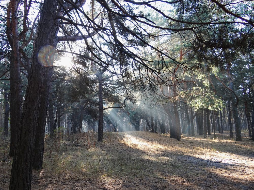 Photograph by Александра Петряева