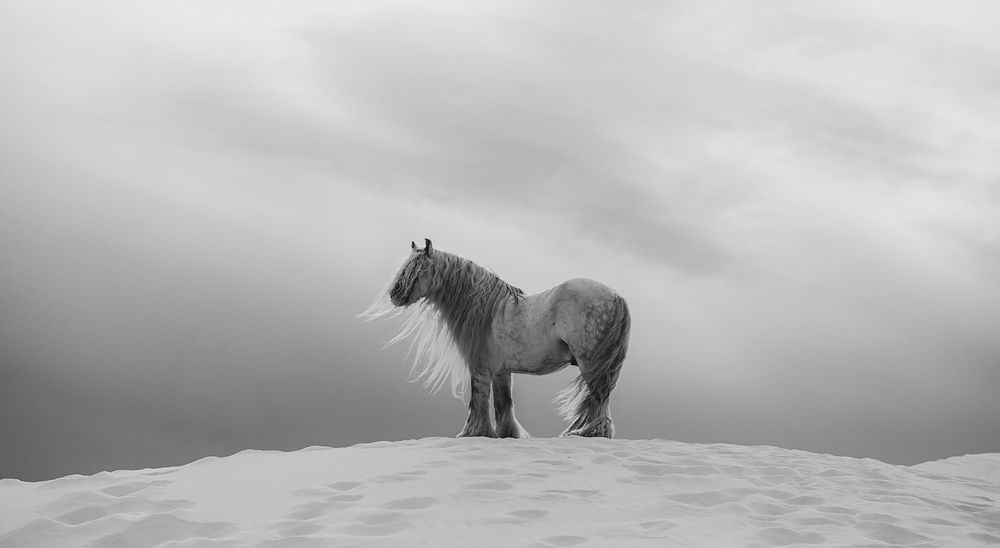 everything turns grey