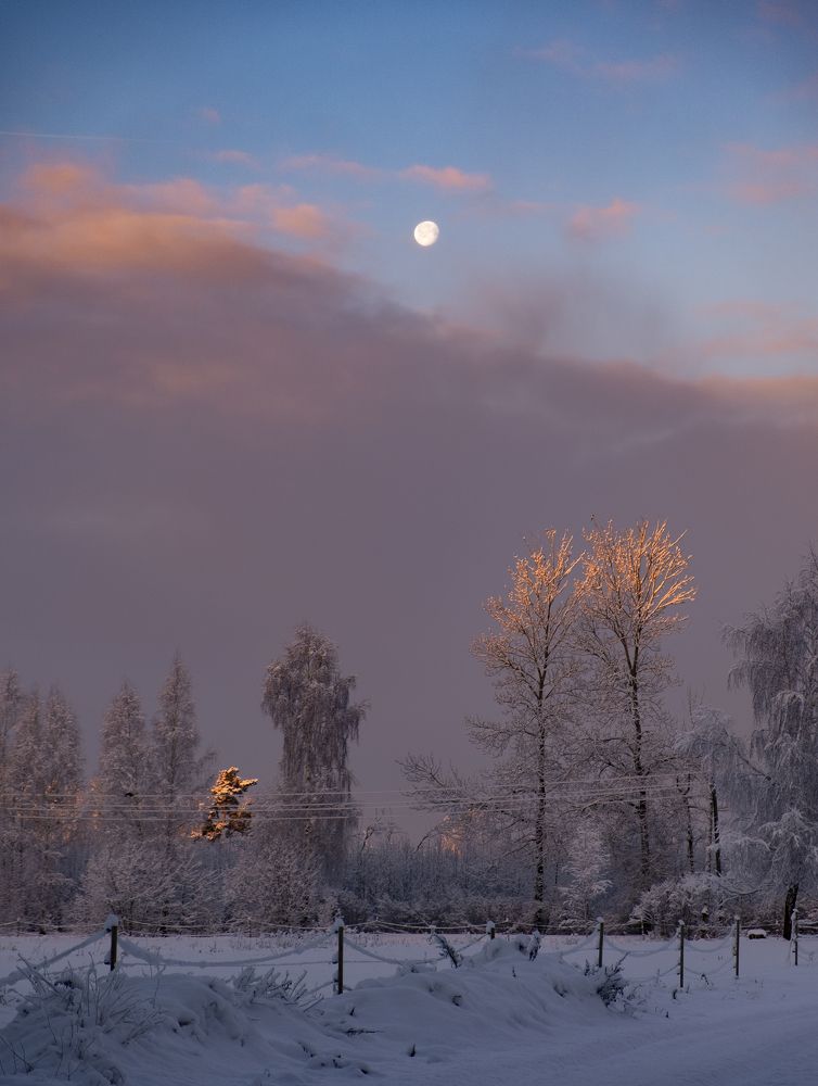 Photograph by Sandra