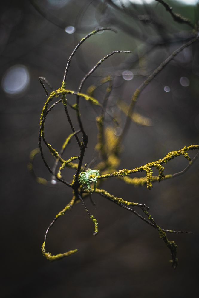 Photograph by Jonathan Sammartano