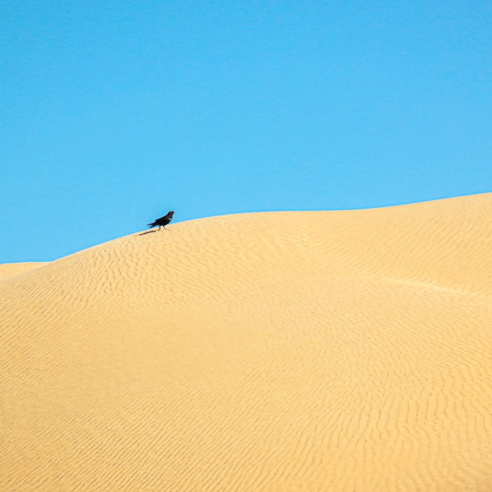 Photograph by Krabaa Mohamed Anis