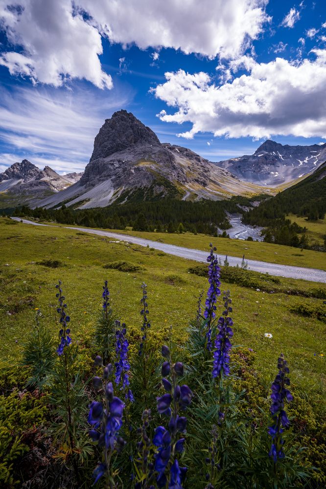 Photograph by Jonathan Sammartano