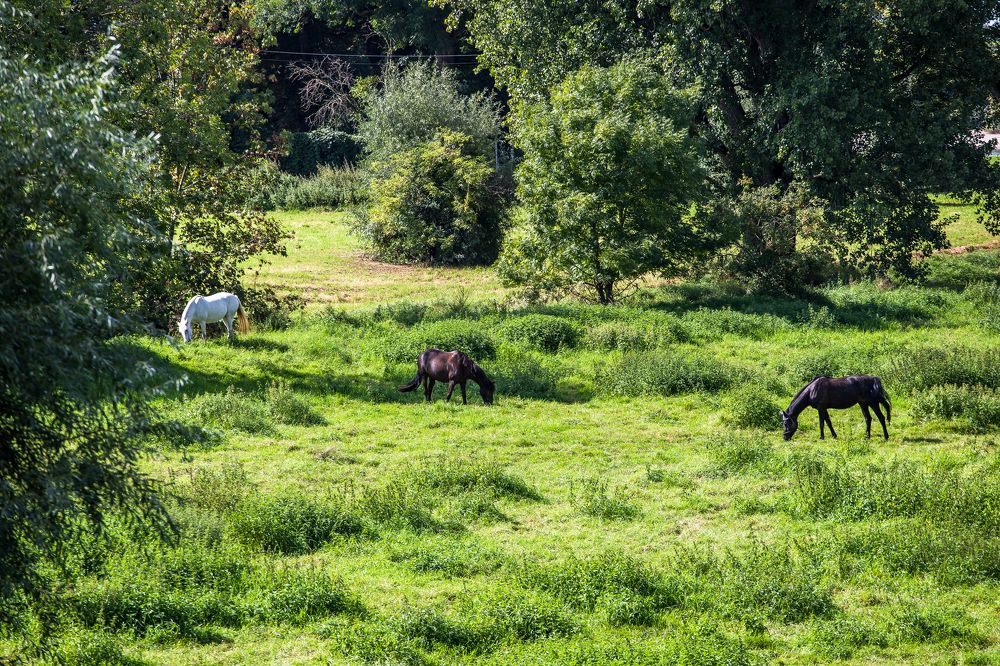 Photograph by Tatiana Kurilas