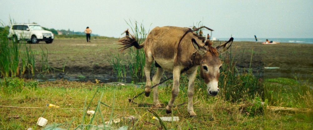 State of Things Panorama