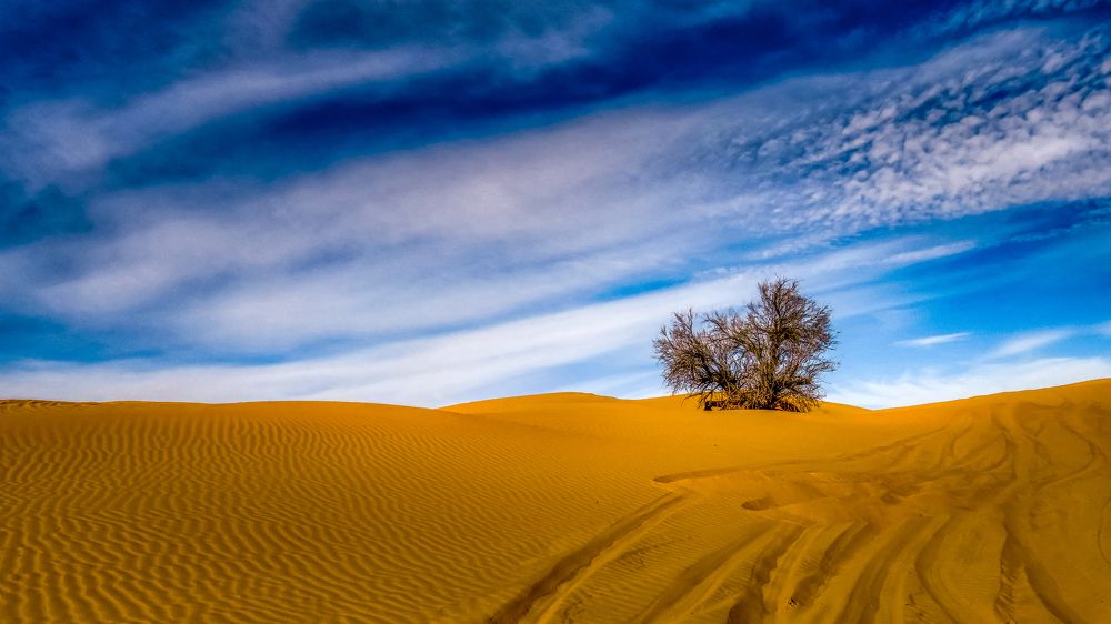 Photograph by Krabaa Mohamed Anis