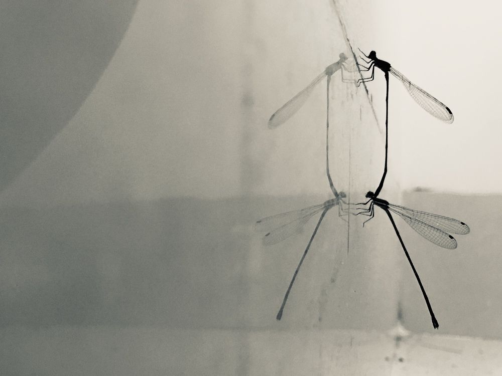 Photograph by Evgenia