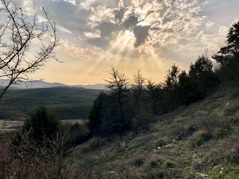 Photograph by Виктория Сметанина