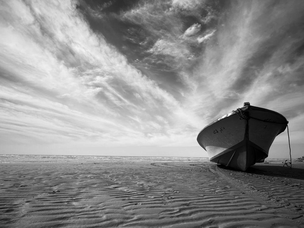 Photograph by mohammad mahmoodpoor