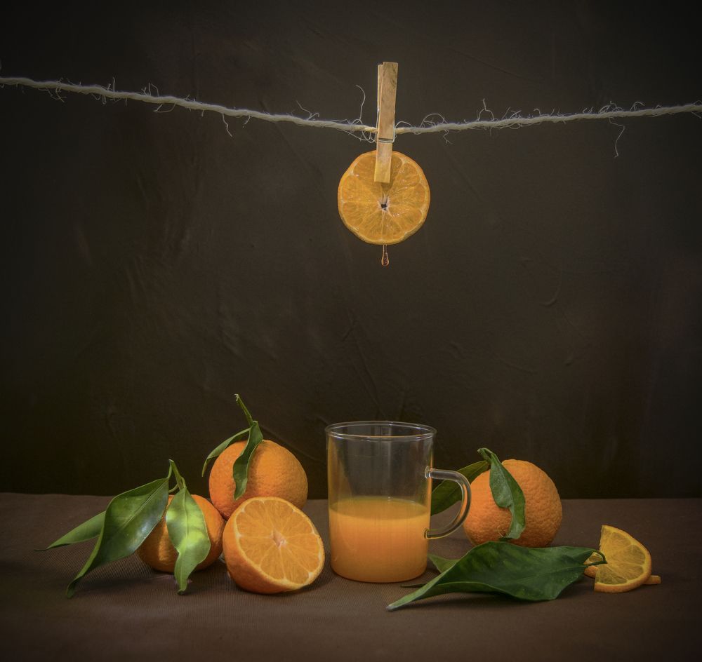 Photograph by Predescu Livius Florin