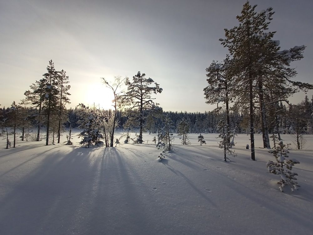 Photograph by Анастасия