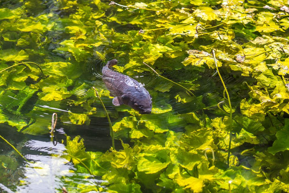 Photograph by Tatiana Kurilas