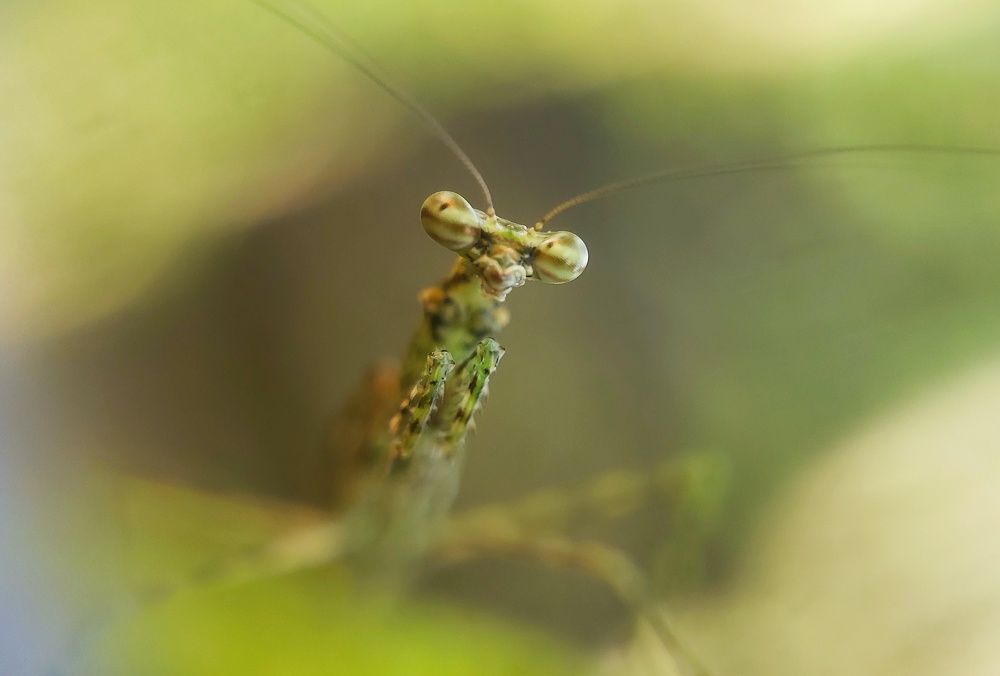 Photograph by I Komang Wirnata