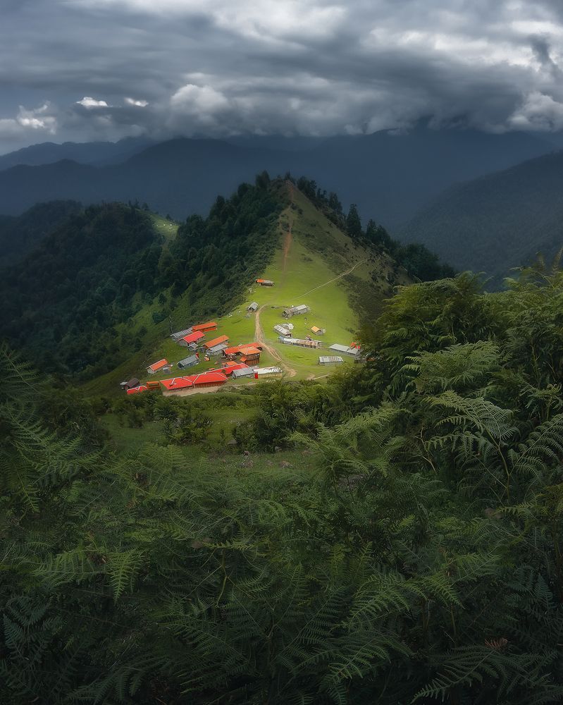 Фотография автора Shahram Hafezi