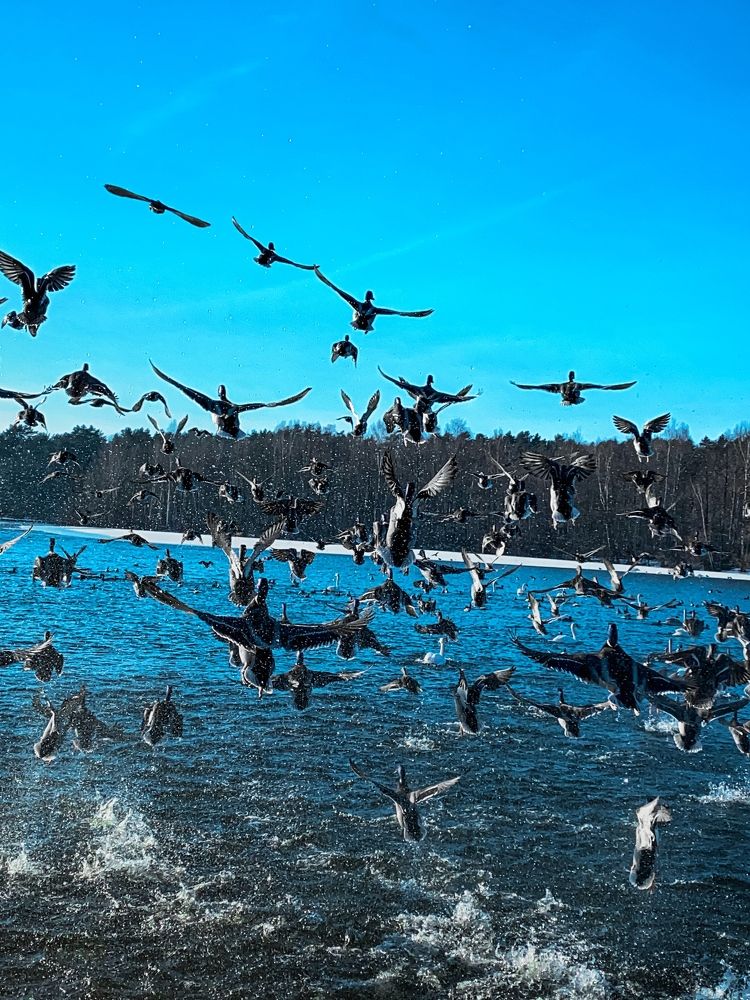 Photograph by Ольга Уласик