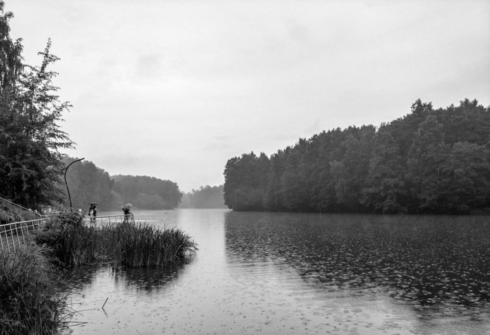 Во время дождя