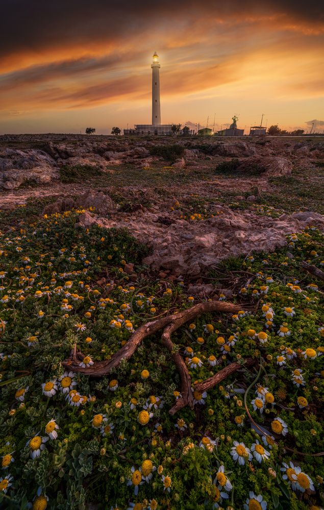 Photograph by Jonathan Sammartano