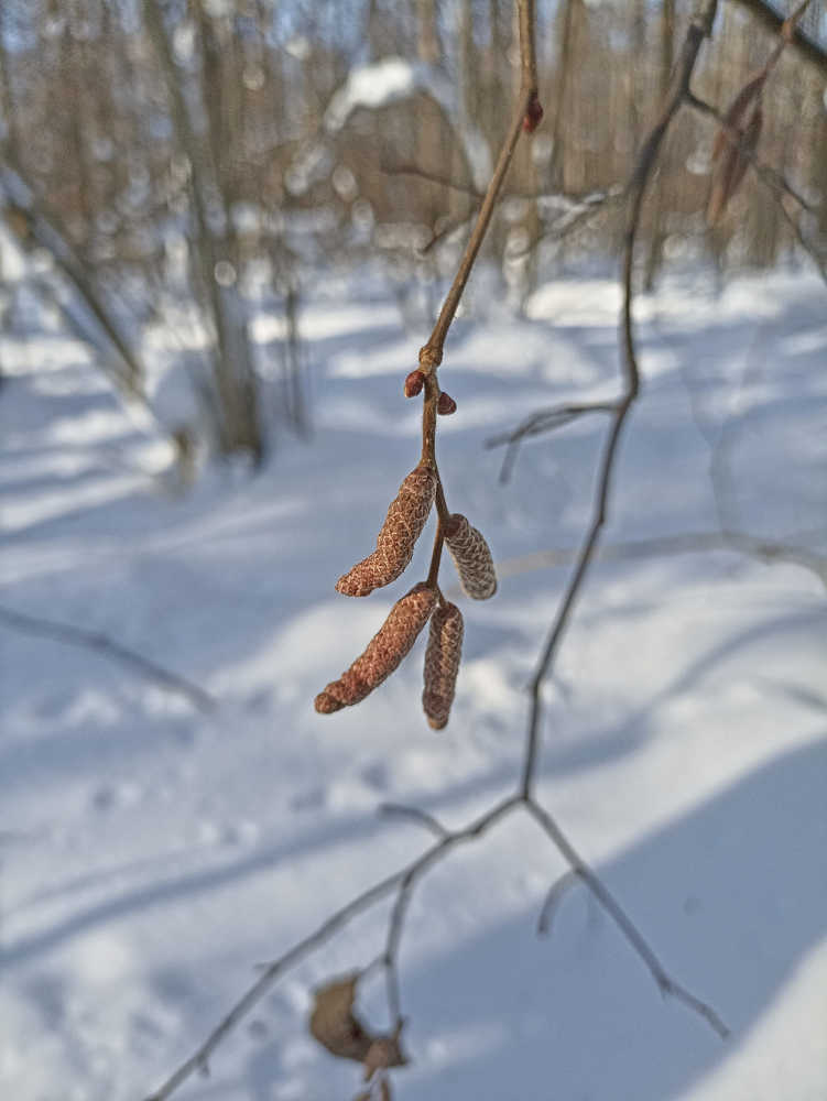 Фотография автора Бронислав Краснер