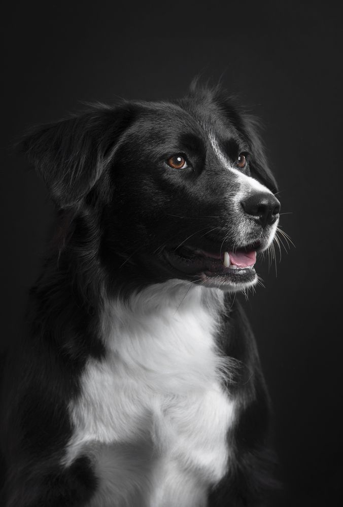 Photograph by Alexandre Marques