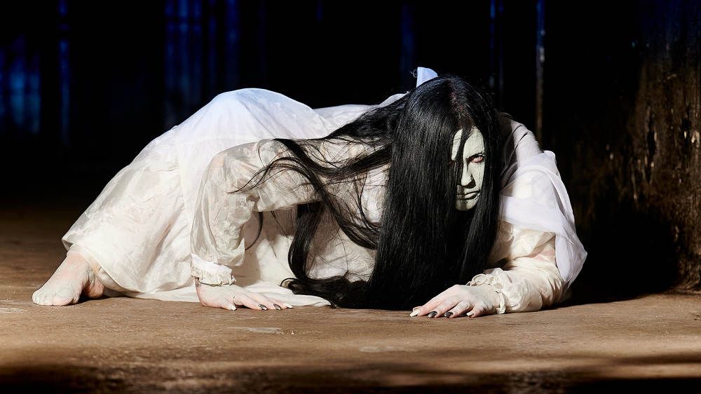 once was a lady .....