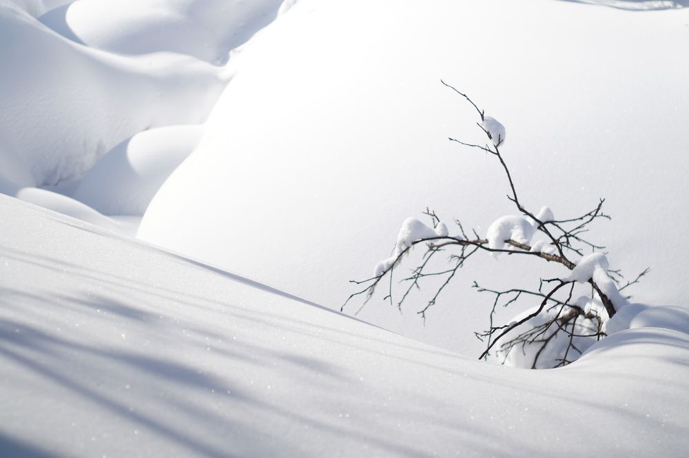 Photograph by Dmitry Demin