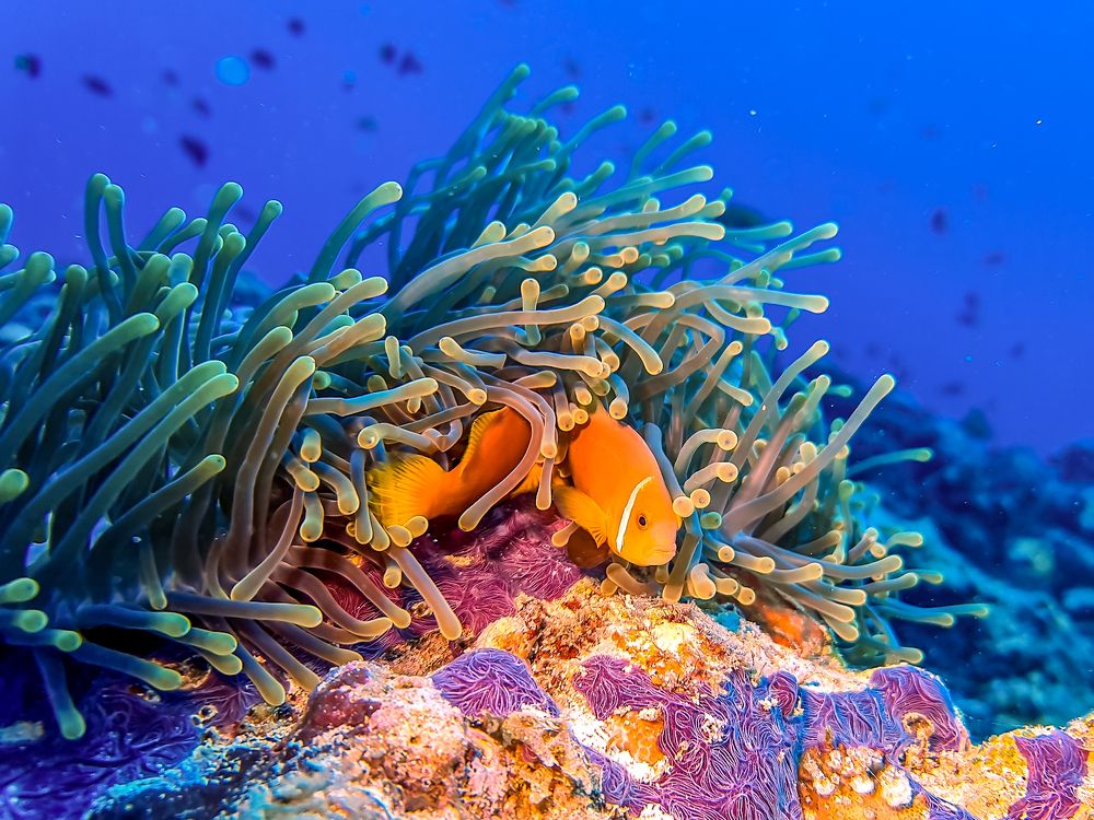 Photograph by Илья Труханов